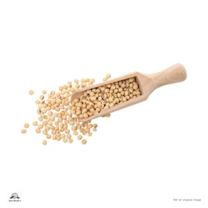 Guar seed