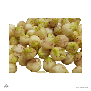 Mahua Seed
