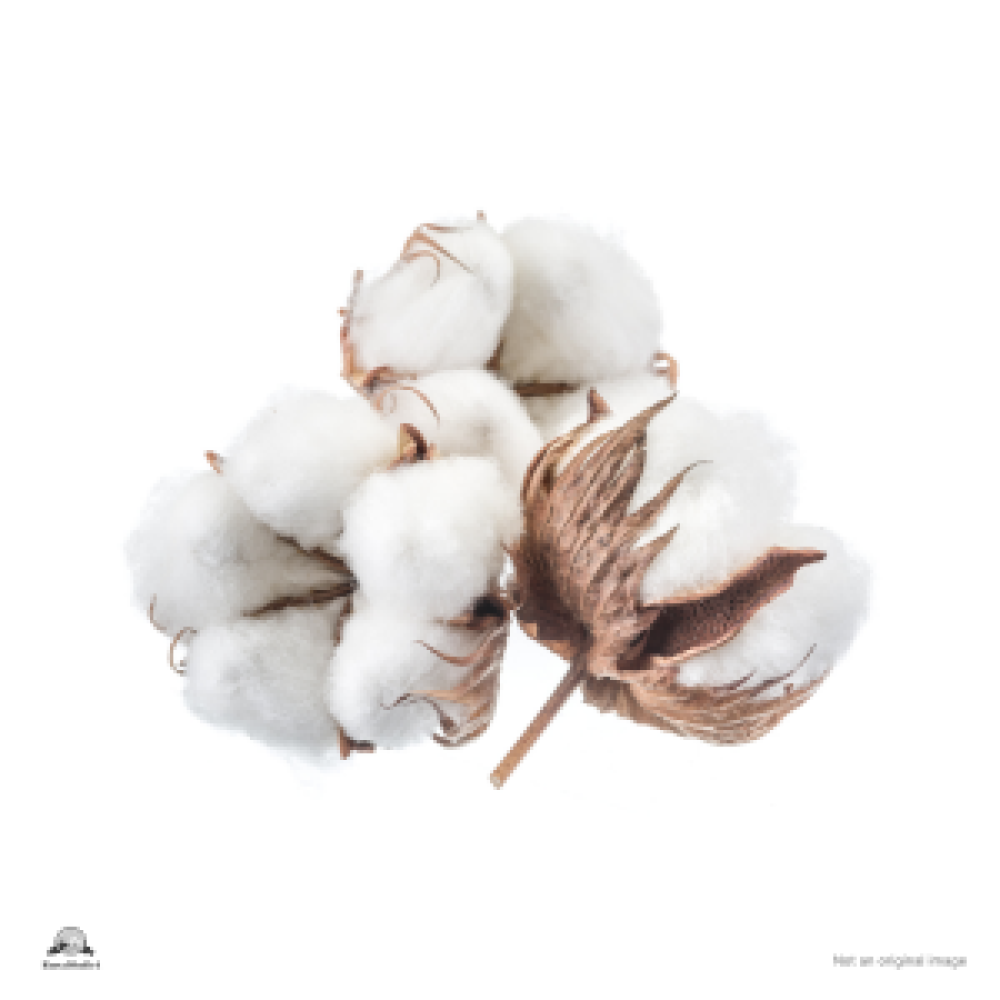 Cotton