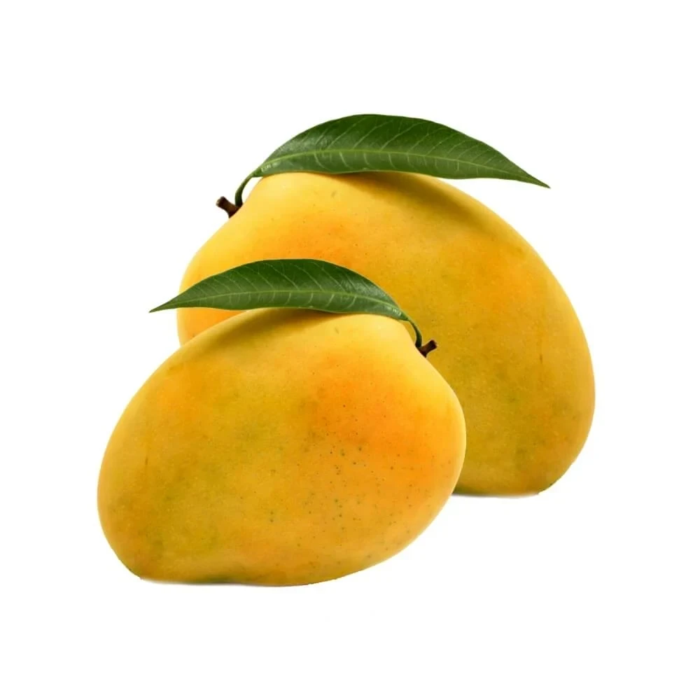 Mango-Alphonso (Ratnagiri)