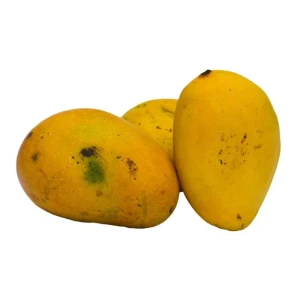 Mango-Alphonso ( Badami)