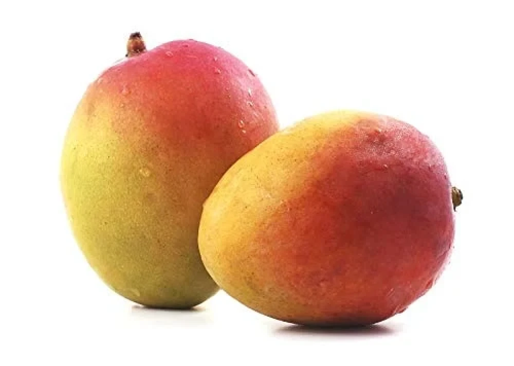 Mango-neelam