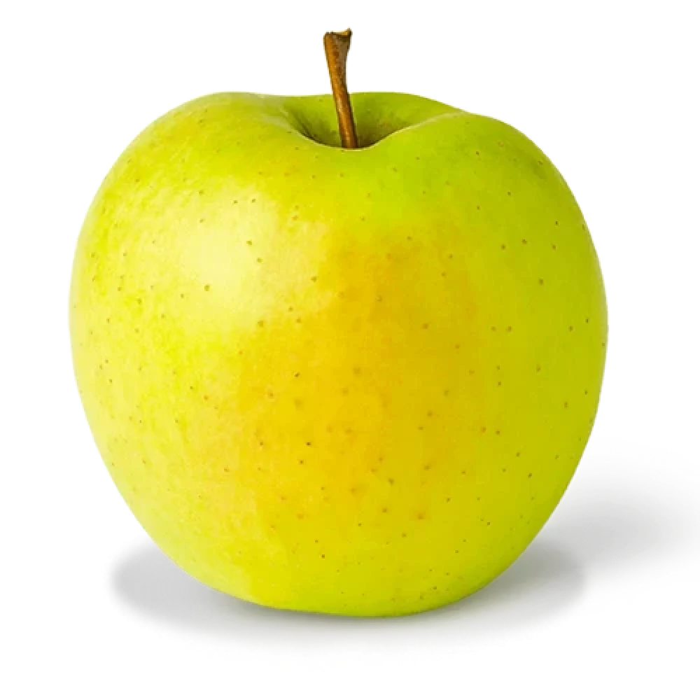 Golden Delicious Apple