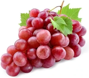Grape-Red Globe