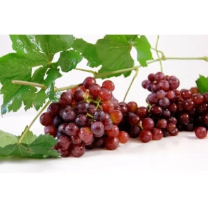 Grape-Flame Seedless