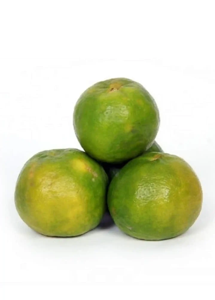 Nagpur Orange