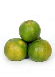 Nagpur Orange