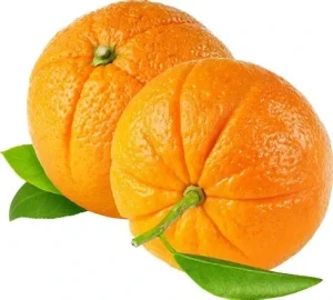 orange-Mandarin (Santra)