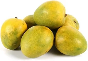 Mango-Malgova