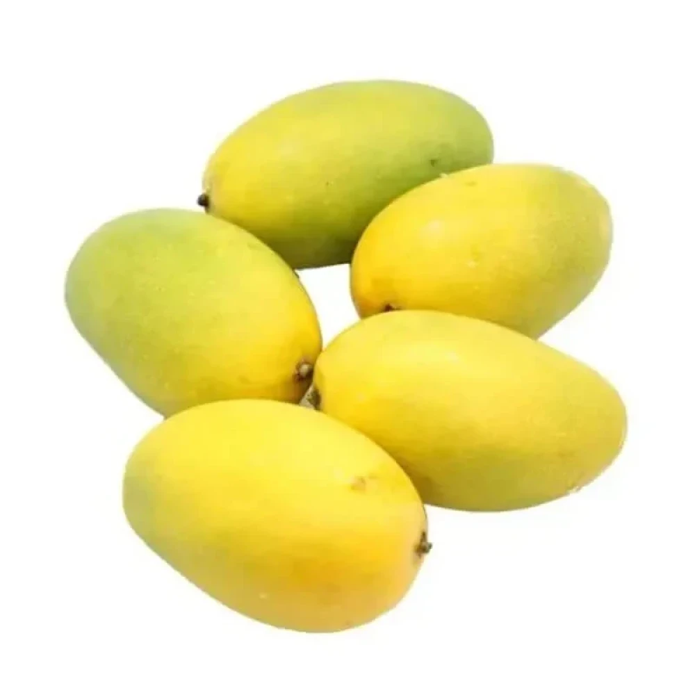 Mango-Chausa