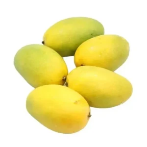 Mango-Chausa